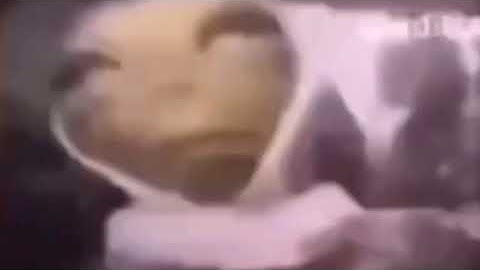 Download Armanem Song Alien Meme Song Mp3 Free And Mp4