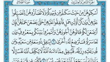 سورة الطلاق مكتوبة   ماهر المعيقلي