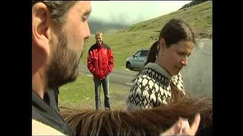 Søren Ryge - Den Færøeske hest (The Faroese Pony)