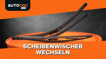 Scheibenwischer wechseln [AUTODOC TUTORIAL]