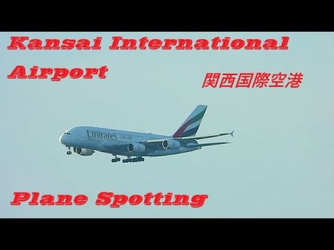 関西国際空港!! Plane Spotting Kansai International Airport 08/21/2025