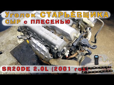 SR20DE - Японский СЫР с плесенью...