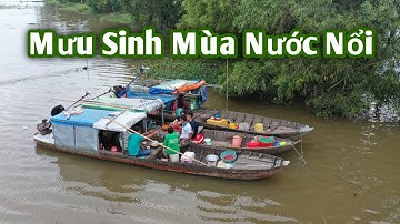 Mùa Nước Lên Đồng 2020 (Phần 2) ● Khô Cá Lóc Đồng Trộn Gỏi Xoài Nhậu "Lai Rai" | Nét Quê #158