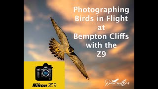 Photographing Birds in Flight at Bempton Cliffs with the Nikon Z9