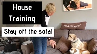 HOW TO...teach your dog to stay off the Sofa!