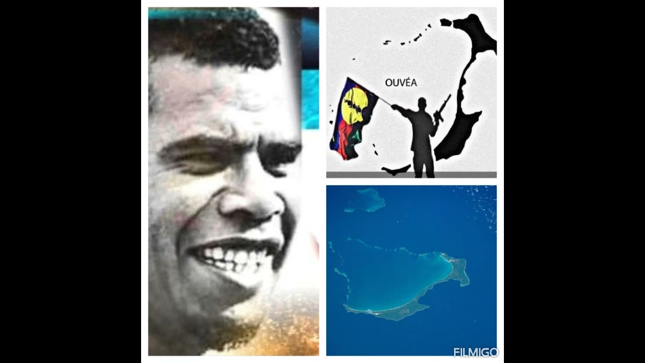 WALEKU JOJO  bnca  iaai