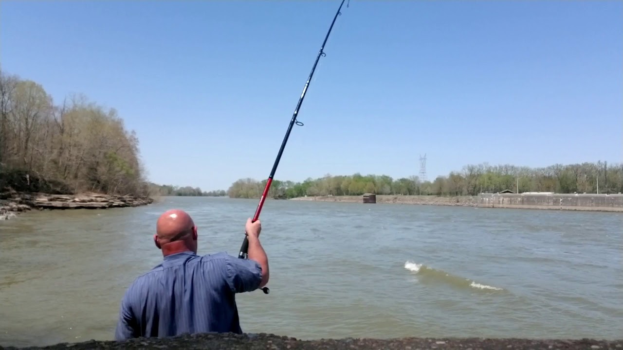 2 Snagging Carp at Cheatham Dam YouTube