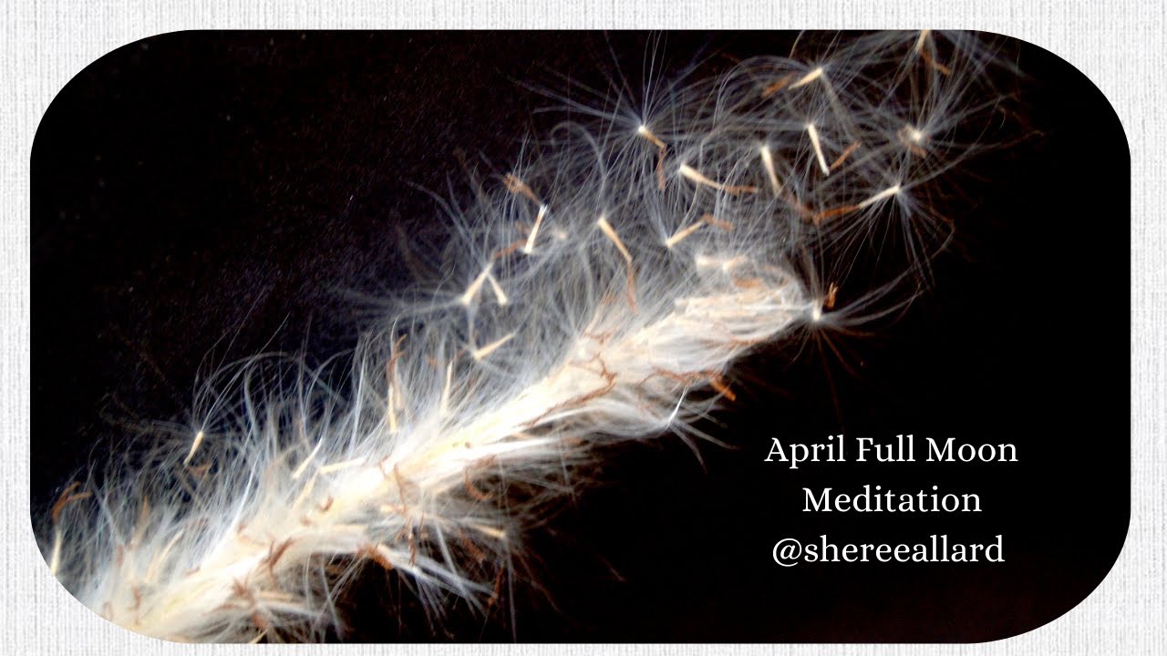 April Full Moon Meditation