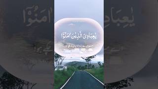 #Quran#ya ibadi allazina amanu Quran# tilawat #shortsfeed#