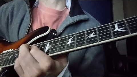 Made in France - Bireli Lagrene Sylvan Luc