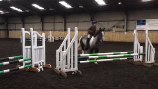 HorseQuest advert ref: 166822