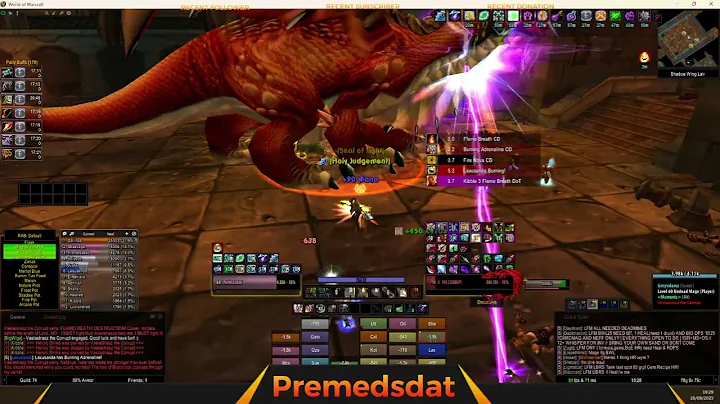 Holy Paladin - Blackwing Lair - Turtle WoW