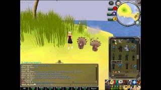 Runescape Video