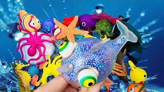 Learn Sea Creatures names | learn Sea Animals For Kids | Learn Aquatic Animals Names | Animal Toys