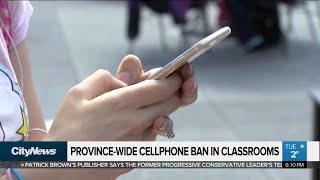 Province-wide cellphone ban in classrooms