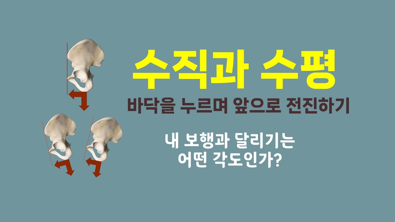 [ 마름모코어 시즌 3-54 ] 보행과 달리기에서 내 몸 맨 아래 좌골을 수직과 수평으로 써 보세요!