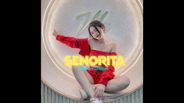 Senorita 2.0//Alight Motion preset 🔰#short video editing 📩🖇️🥀