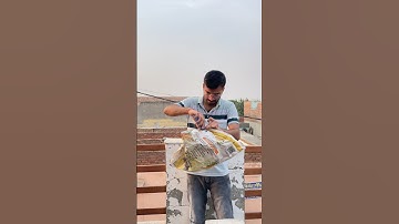 Desi Hot Air Balloon Experiment😜 | #experiment #science