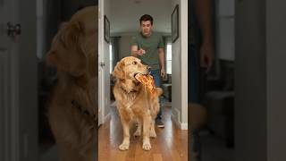 My Dog Said He Was Hungry… Then Stole My Pizza! 😂🍕🐶 #Shorts part 01
