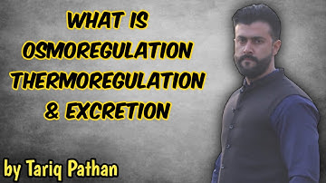 Chapter Homeostasis- What is Osmoregulation Thermoregulation & Excretion - Tariq Pathan