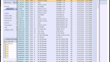 SAP Financial Accounting