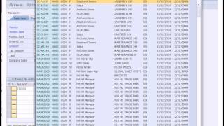 SAP Financial Accounting screenshot 5