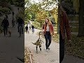 This Isn’t a Dog… It’s My Dinosaur on a Leash #ai #aidinosaur #aicreature #vfx #Dinosaurs