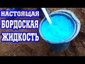 Настоящая бордоская жидкость / Рецепт от Дедушки