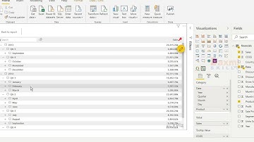 Custom Visual Hierarchical Filter in Power BI Desktop