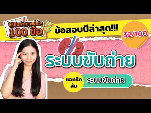 ติวฟรี ชีวะ 32/100 : ระบบขับถ่าย  แฉทริคลับระบบขับถ่าย : ชีวะครูฝ้าย