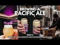 Pacific Ale Brew Day Part 2 | Dry Hopping, Dumping a Cone & Canning Beer Processes