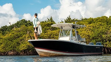 JUJU Cast Nets: Multi Series - Commercial Grade