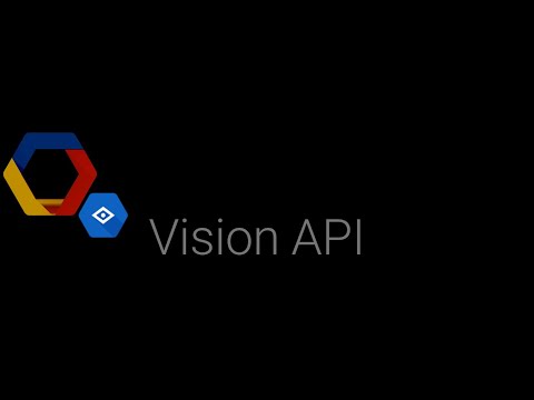 Detect Labels with Google Vision API