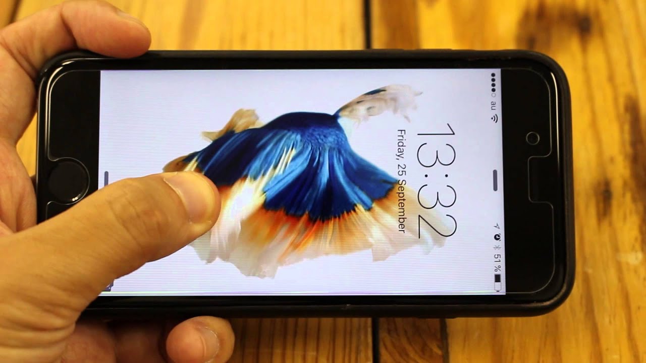 魚が動く 泳ぐ Iphone 6sの動く壁紙を体験せよ ギズモード ジャパン