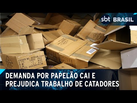 Video preco-baixo-do-papelao-no-mercado-desestimula-trabalho-de-catadores-sbt-brasil-27-04-24
