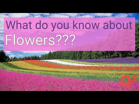 do-you-know-these-flowers?-guess-their-names.-|-flower-quiz