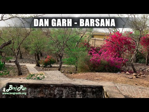 Dan Garh, Barsana - Darshan and Pastimes