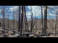 San Francisco Peaks Viewpoint, Flagstaff AZ, VR 360 Monoscopic 6k