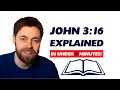 John 3:16 explained! What the Bible