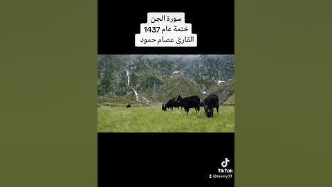سورة الجن  ختمة عام 1437 #القارئ عصام حمود