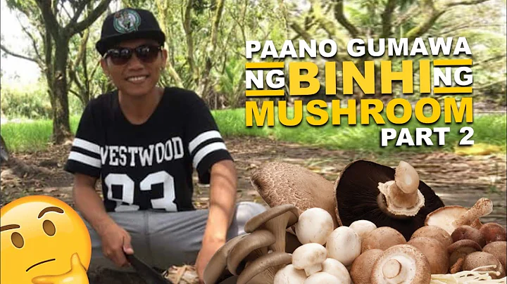 Part 2 | Paano Gumawa ng Binhi ng Mushroom | MUSHR...