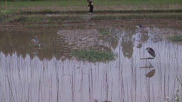 Anh em tham khảo mô hình đánh vạc bằng keo tại bắc giang