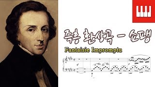 즉흥 환상곡 (Fantaisie Impromptu) - 쇼팽 (F. Chopin) piano by 스카이 피아노 [피아노 명곡]