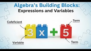 Algebra's Building Blocks: Expressions and Variables
