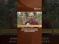 Borboletário em Osasco transforma educação ambiental em experiência