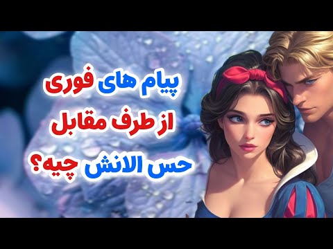 شاردن تاروت پیام های فوری و احساسی از طرف شخص مقابل بهت حس الان چیه