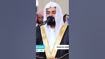 Raad Al kurdi Whatsapp status / رعد الكردي حالات واتس اب/ سورة البقرة رعد الكردي