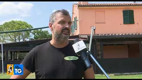 Dove passare il Ferragosto nelle Marche?