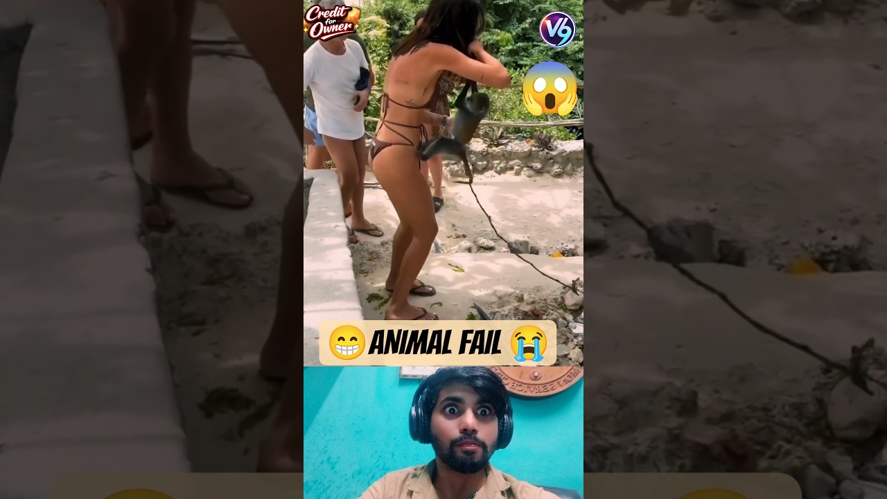 😹 This Animal Had Other Plans 😳💥 | Epic Animal Fail 2026 