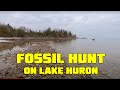 Fossil Hunting at Partridge Point